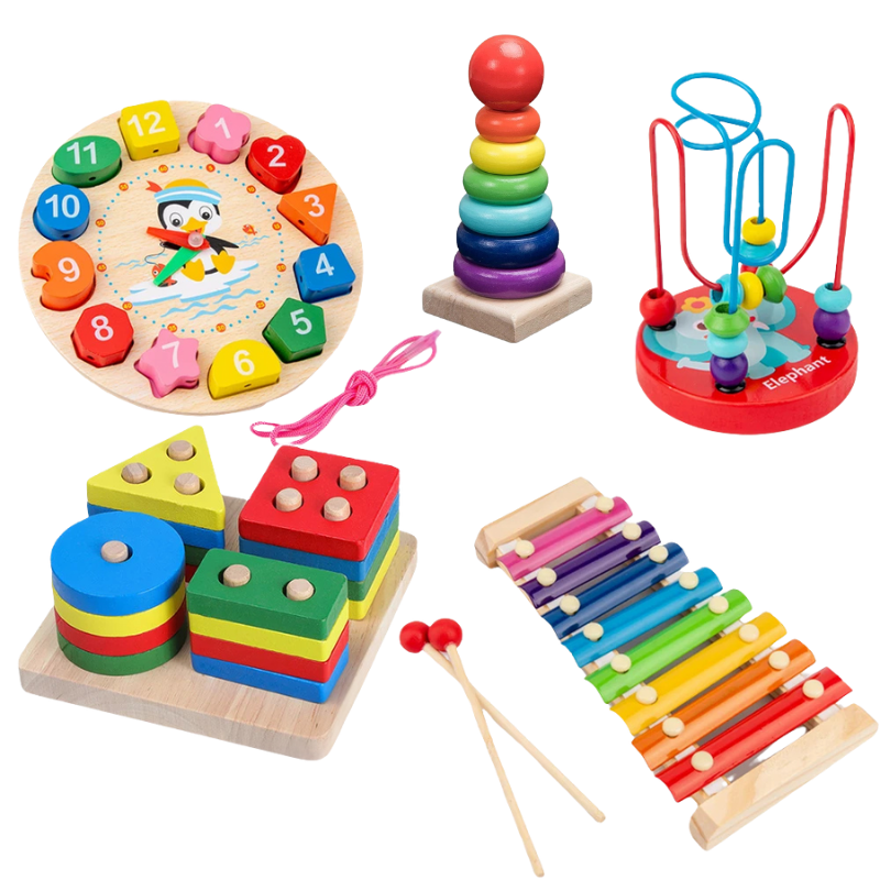 Kit Montessori Ludii | Descobertas 5 em 1