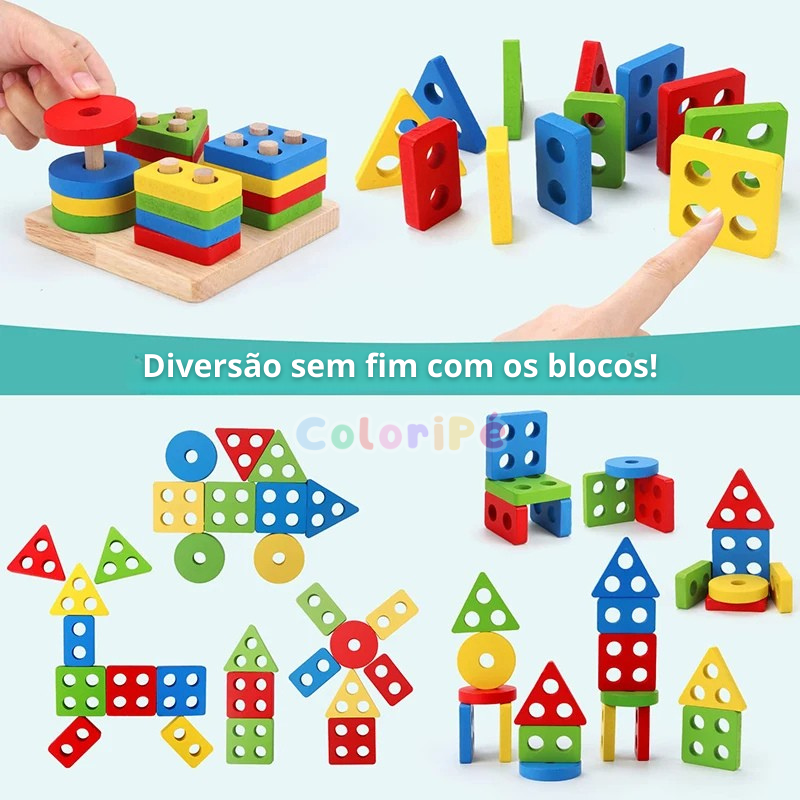 Kit Montessori Ludii | Descobertas 5 em 1